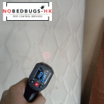 由Nobedbugs-HK進行的熱處理