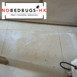 Heat Treatment Aftermath