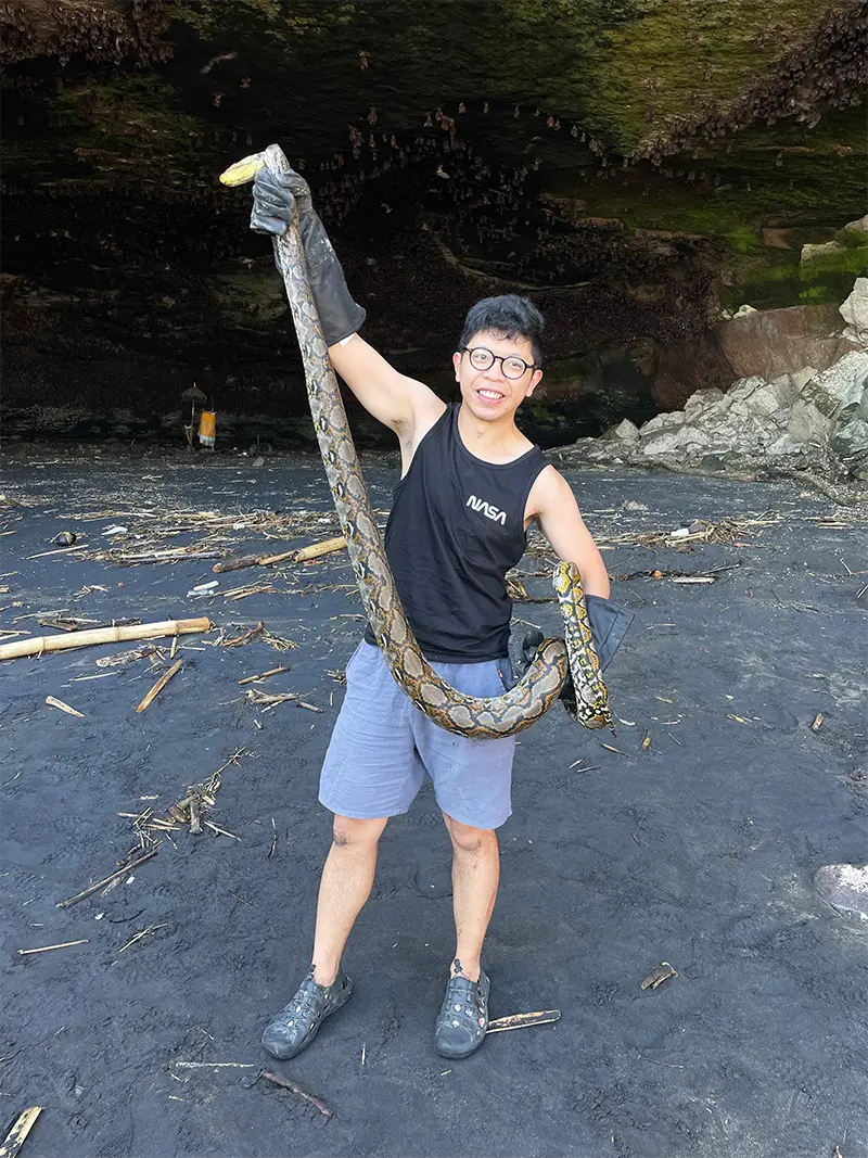 Licensed Snake Catcher in Hong Kong Handling a Non-Venomous Snake