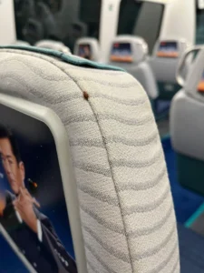 Bed-Bugs-On-The-Train