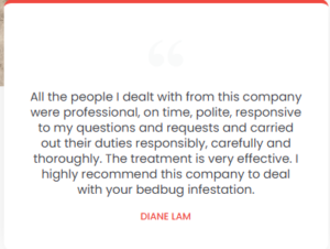 Customer-Review